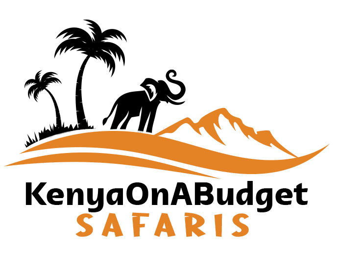 Kenya on a Budget Safaris